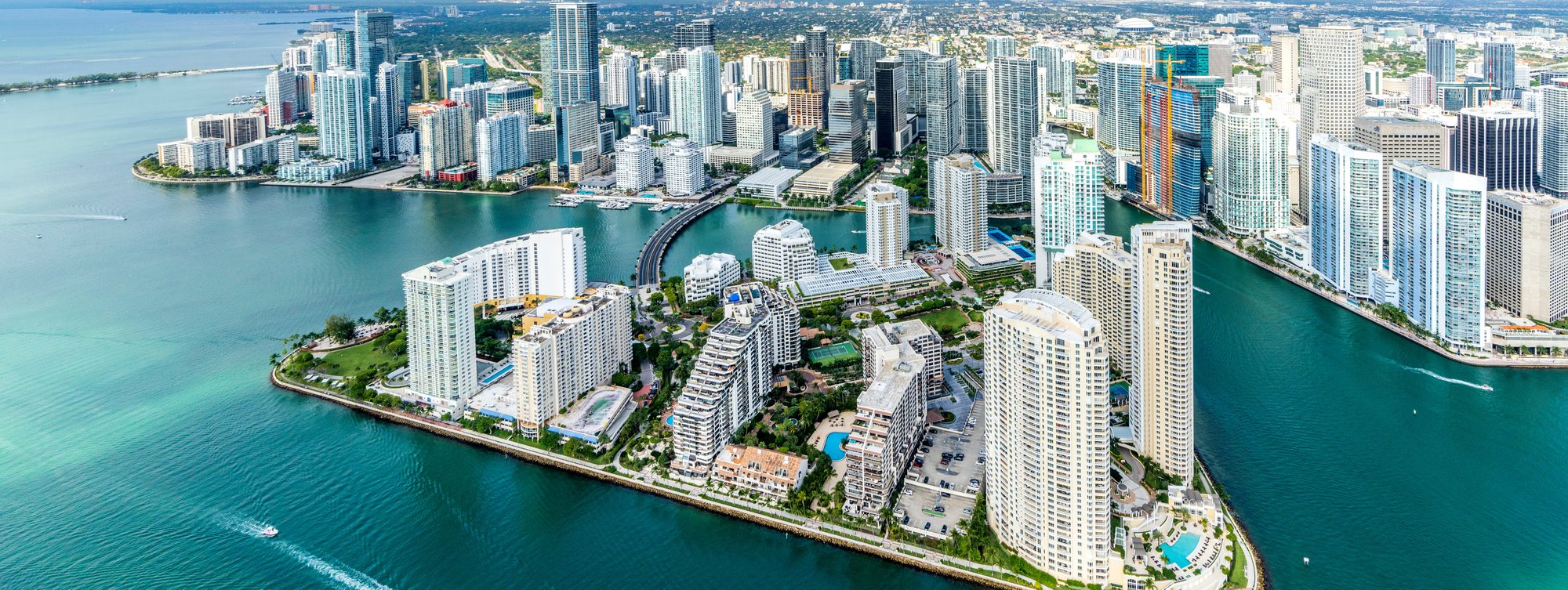 miami eduardo